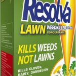 Weedol Tough Weedkiller, ready to use weed control, 1L